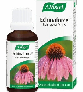 A.Vogel Echinaforce - Echinacea Oral Drops 100ml