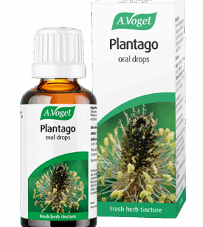 A.Vogel Plantago Oral Drops 50ml
