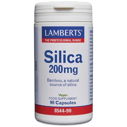 Lamberts Silica 200mg - 90caps